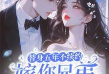 小说《替身五年不续约,嫁你兄弟急什么》章节免费阅读-有书评