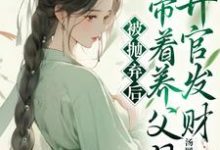 宋褀安乔松小说被抛弃后,我带着养父母升官发财章节免费阅读-有书评