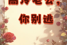 高冷老公，你别逃章节免费在线阅读，展新颜江砚初完结版-有书评