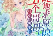 小说《叶小姐独美后，五个哥哥跪地求原谅》章节免费阅读-有书评