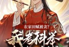 《农家田赋被贪？我考科举把书读烂》小说章节列表免费试读，何明风小说在线阅读-有书评