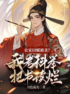《农家田赋被贪？我考科举把书读烂》小说章节列表免费试读，何明风小说在线阅读