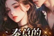完结版《秦总的心尖人儿》在线免费阅读-有书评