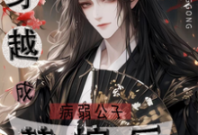 穿越成病弱公子替嫁后容浔澹台肆，穿越成病弱公子替嫁后章节在线阅读-有书评