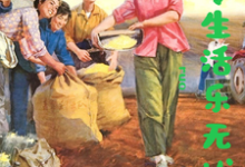 七零生活乐无忧小说的最新章节在哪里更新?免费追踪阅读-有书评