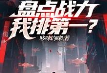 LOL：盘点战力，我排第一？这本小说完结了吗？免费查看最新章节-有书评