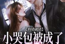 将错就错：小哭包被成了大佬心尖宠小说的免费阅读版本在哪里可以找到？-有书评
