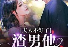 《夫人不好了！渣男他要求爱》小说大结局免费试读 黎岁霍砚舟小说-有书评