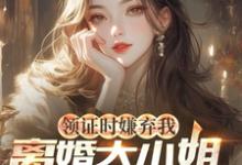 小说《领证时嫌弃我,离婚大小姐哭什么》在线章节阅读-有书评