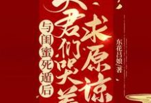 已完结小说《与闺蜜死遁后,夫君们哭着求原谅》章节在线阅读-有书评
