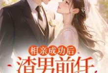 相亲成功后，渣男前任哭着求复合小说无弹窗阅读的网站推荐-有书评