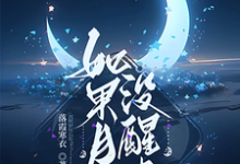 如果月亮没醒来杜小昭林之宇小说完结版章节在线阅读-有书评