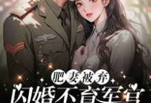 肥妻被弃,闪婚不育军官后躺赢了这本小说完结了吗?免费查看最新章节-有书评