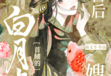 冲喜后,我成了白月光首辅的嫂嫂小说阅读,冲喜后,我成了白月光首辅的嫂嫂完结版-有书评