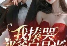 哪里能找到我揍哭祁爷白月光,婚戒扔他脸上小说的最新更新和免费章节?-有书评