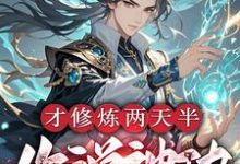 才修炼两天半,你说神功大成了?小说的免费阅读版本在哪里可以找到?-有书评
