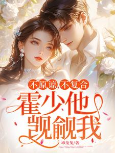 苏眠霍北寒小说《不原谅，不复合，霍少他觊觎我》在线阅读