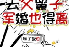 《穿七零去父留子，军婚也得离》全集免费在线阅读（苏璃萧衍珩）-有书评