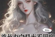 苏念念小说首长为白月光不圆房,重生不嫁了章节免费阅读-有书评