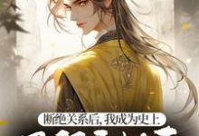 求断绝关系后，我成为史上最强异姓王小说的全文免费阅读链接-有书评