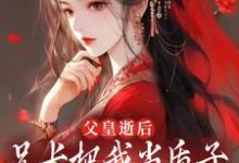 哪里可以免费找到父皇逝后,兄长把我当质子送去敌国?-有书评