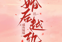求婚后越轨小说的全文免费阅读链接-有书评