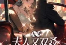 完结版《九爷,夫人又双叒死了一个哥哥》章节阅读-有书评