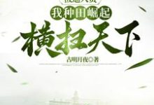 小说《被逼入赘，我种田崛起横扫天下》章节免费阅读-有书评