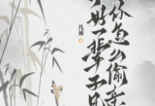 《说好一辈子兄弟，你怎么偷亲我》完整版小说免费阅读-有书评