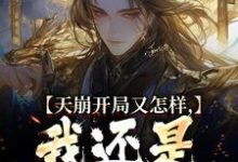 完整版小说《天崩开局又怎样,我还是大唐的王》免费阅读-有书评