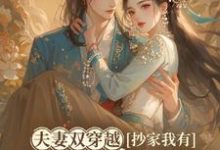 夫妻双穿越，抄家我有位面金手指木婉清华睿渊，夫妻双穿越，抄家我有位面金手指在线无弹窗阅读-有书评