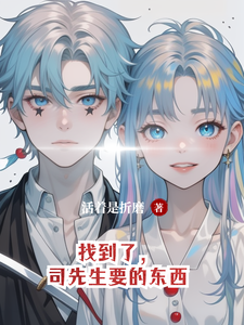 小说《找到了，司先生要的东西》在线章节阅读