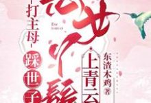 打主母,踩世子,恶女丫鬟上青云林妩小说大结局免费试读-有书评