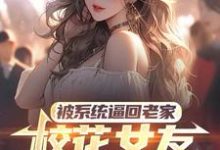 被系统逼回老家，校花女友追来了免费阅读，被系统逼回老家，校花女友追来了章节目录-有书评