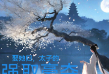 小说完整版《娶她归,太子的强取豪夺》免费阅读-有书评