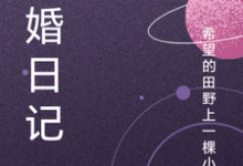 骗婚日记陈大凤谢玉竹在线章节免费阅读-有书评