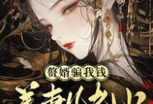 赘婿骗我钱养妻儿老小,弄死!小说完结了吗?在哪里可以免费读到?-有书评