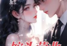 乔言辞叶致诚小说免费阅读完整版-有书评