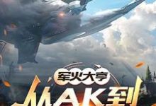江海小说军火大亨：从ak到星际航母在线阅读章节-有书评