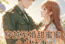 《穿越军婚甜蜜蜜:小小娇妻》小说免费阅读完整版-有书评