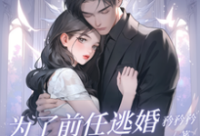安澜沈风致小说《为了前任逃婚?她绝不原谅》在线阅读-有书评