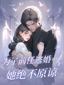 安澜沈风致小说《为了前任逃婚？她绝不原谅》在线阅读