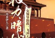 免费在线阅读权力暗战：女领导助我一飞冲天小说的正规网站有哪些？-有书评