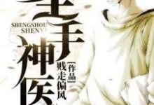 小说《圣手神医》在线章节阅读-有书评