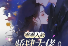 乖乖入局,骄肆大佬无处不低头小说的免费阅读版本在哪里可以找到?-有书评