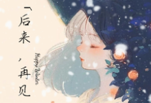 《后来,再见》完整版小说免费阅读-有书评