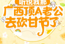 韦禹泽何清川小说完结版在线阅读，听说我那广西顶A老公去砍甘节了免费看-有书评