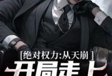 完整版的绝对权力:从天崩开局走上官途巅峰小说在哪里可以免费读到?-有书评