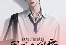 打劫了霸总后我成了团宠安乐，打劫了霸总后我成了团宠小说免费阅读-有书评