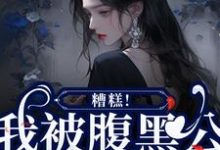 哪里能找到糟糕!我被腹黑公子缠上了小说的最新更新和免费章节?-有书评